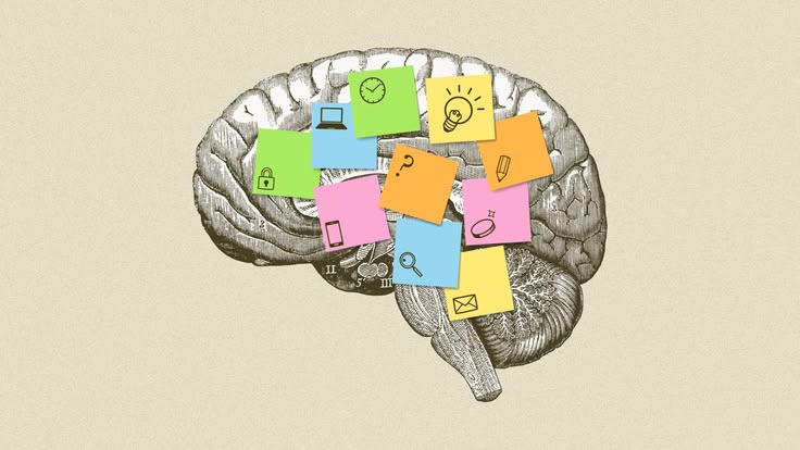 Brain illustration with colorful idea notes